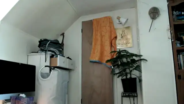 Wildflowerem – Myfreecams Webcam Video – 2026-06-28 05:24:51