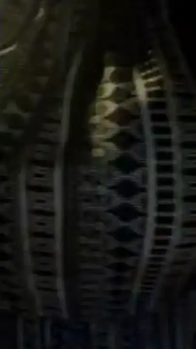Soyaries – Amateur.tv Webcam Video – 2025-11-24 01:13:30