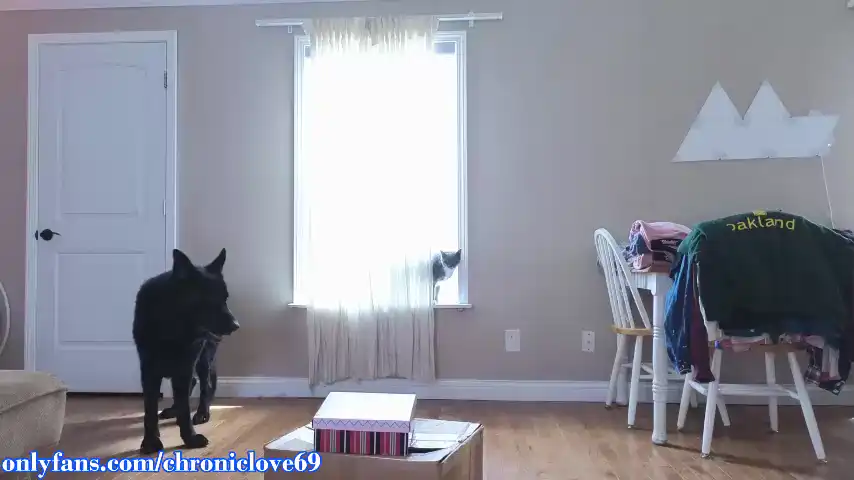 Chroniclove – Chaturbate Webcam Video – 2025-11-17 06:21:28