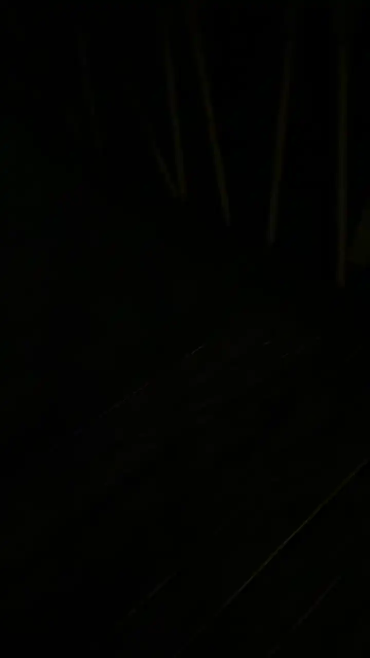 Foxfox07 – Cam4 Webcam Video – 2026-03-28 09:23:24