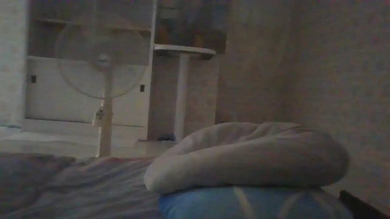 Leacat – Sakuralive Webcam Video – 2025-10-16 06:04:43