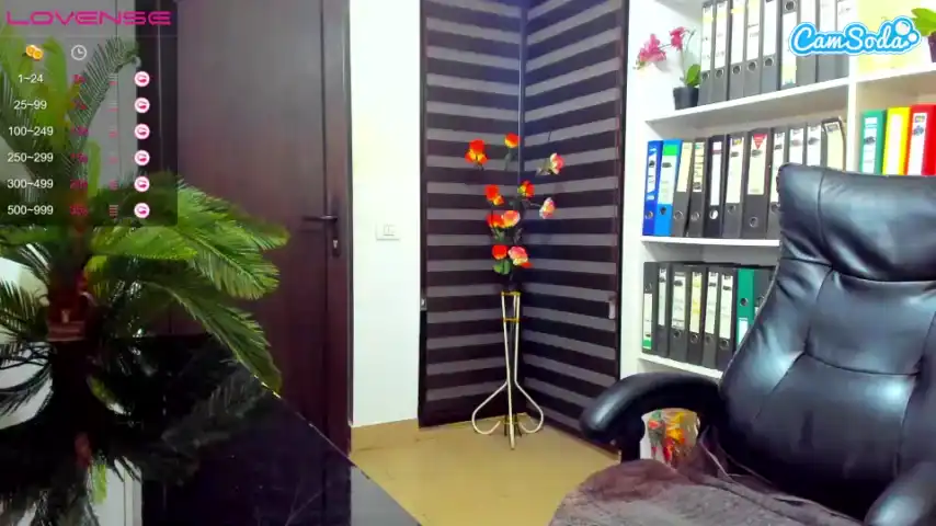 Newlisa2018 – Camsoda Webcam Video – 2025-02-11 11:40:51